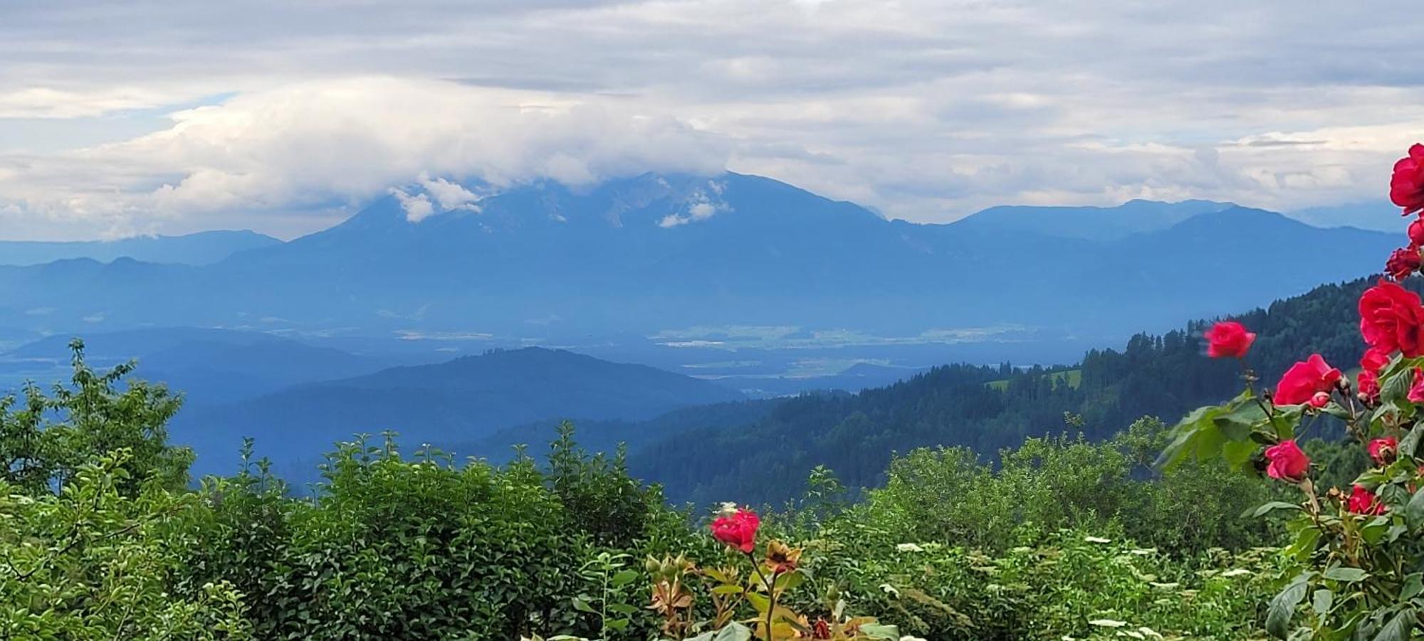 Gasthof Machwirth Griffen 外观 照片