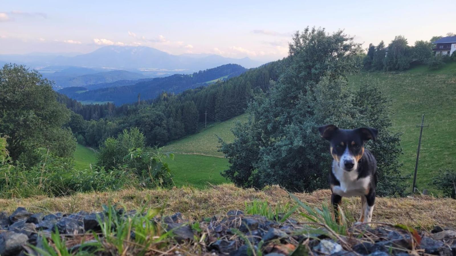 Gasthof Machwirth Griffen 外观 照片
